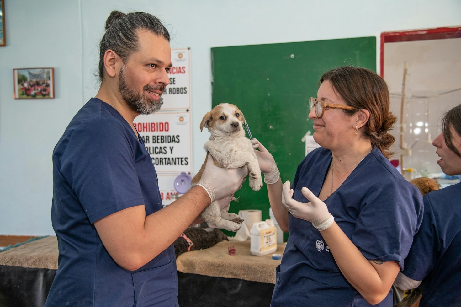 Check-up preventivo: quando levar seu animal de estimação à clínica?