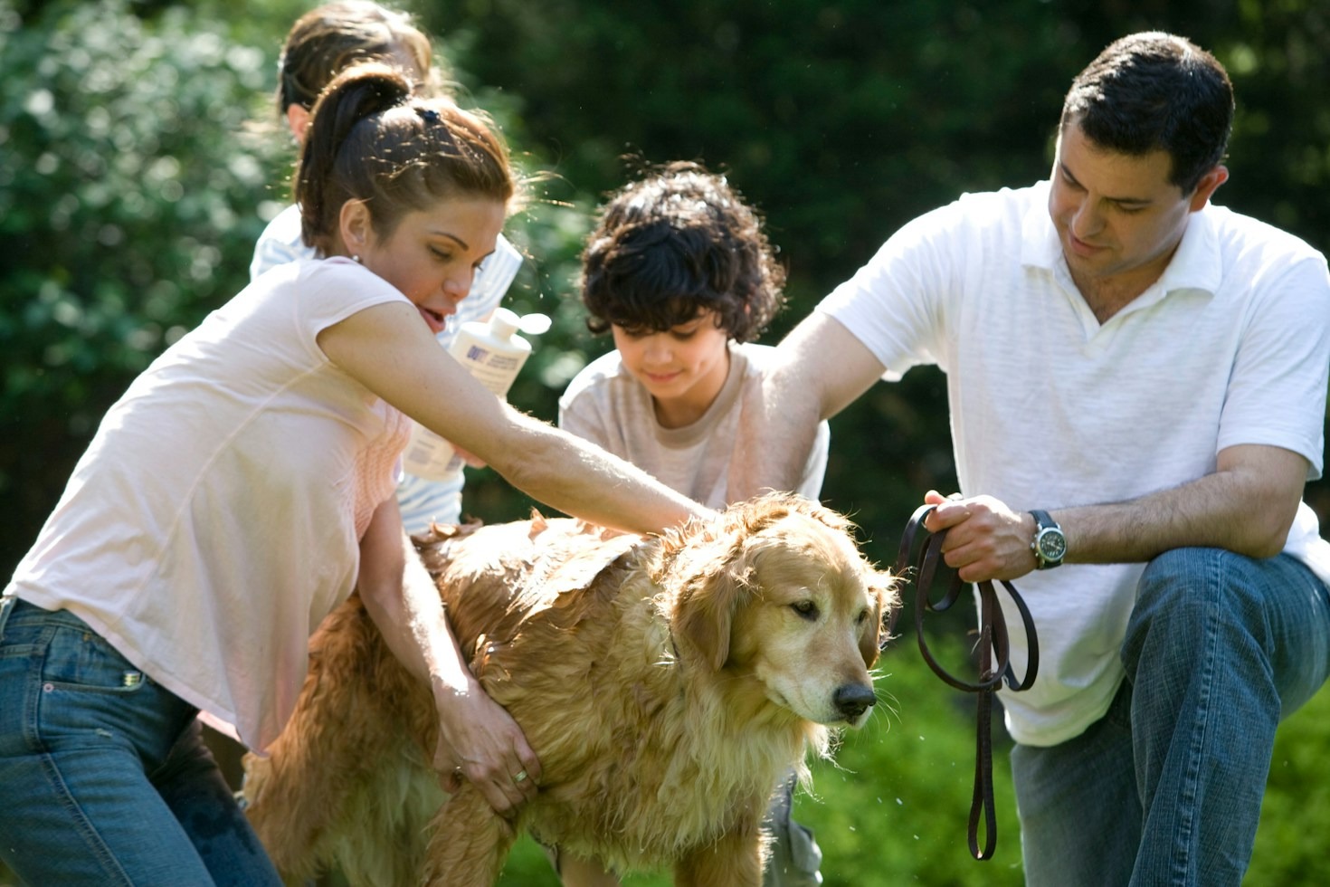 Dicas essenciais para manter a vacinação do seu pet em dia